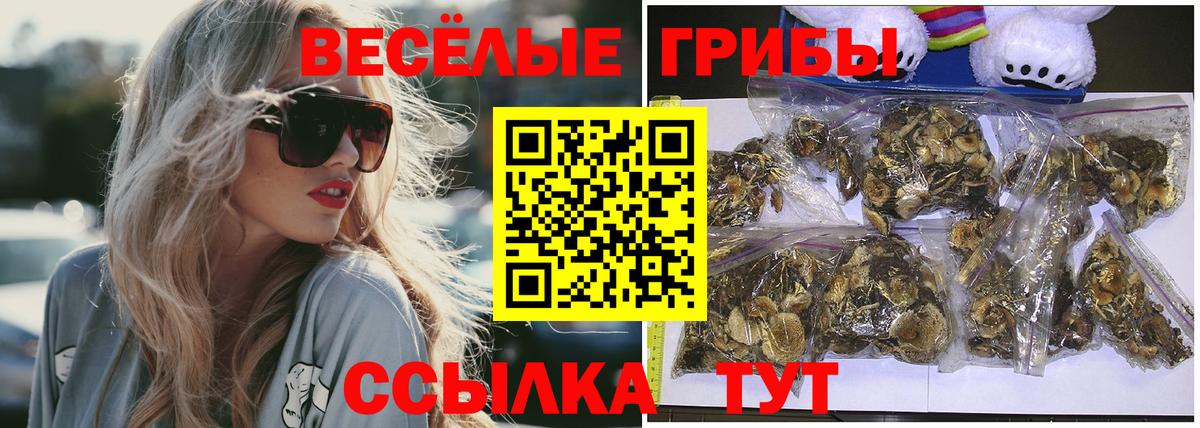 Набережные Челны  Галлюциногенные грибы мицелий  Вход с VPN  Псилоцибиновые грибы GOLDEN TEACHER 