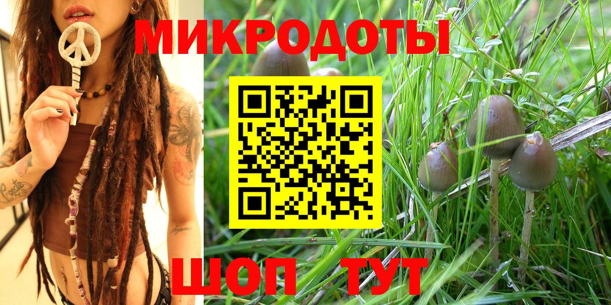 Псилоцибиновые грибы мицелий Набережные Челны